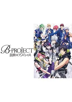 B-PROJECT